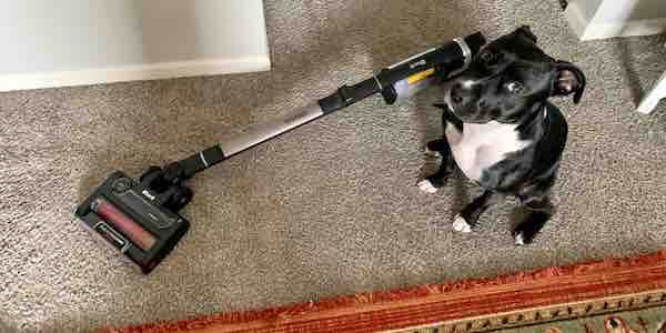 Shark Stratos Cordless Vacuum review: A pet-parent approved cordless vacuum for everyday cleaning