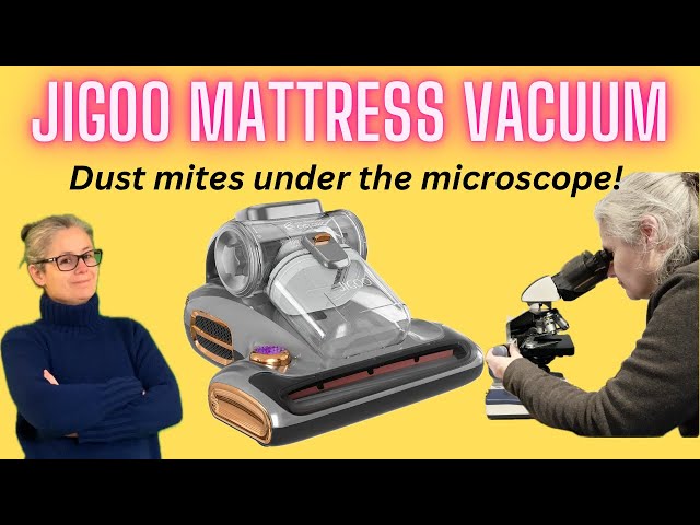 REVIEW: Jigoo T600 Mattress Vacuum Cleaner - Remove Dust & Dust Mites! I Found Dust Mites!