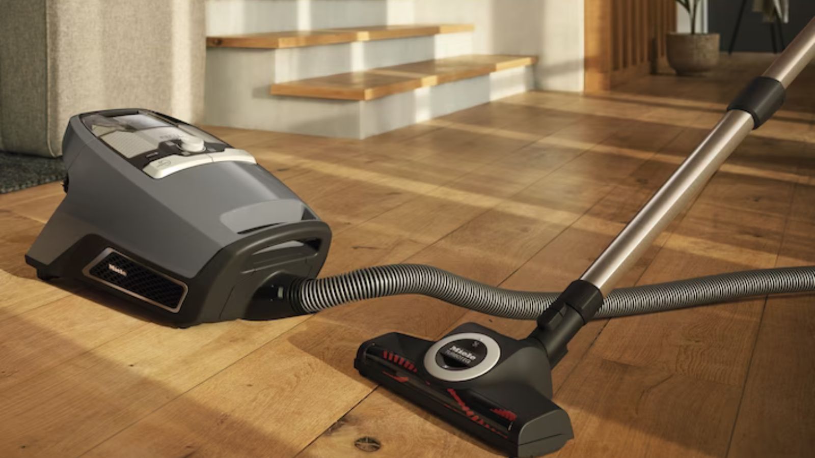 Miele Blizzard CX1 Cat & Dog canister vacuum review | Homes and Gardens