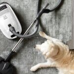 Miele Complete C3 Cat & Dog Canister Vacuum review | Homes and Gardens