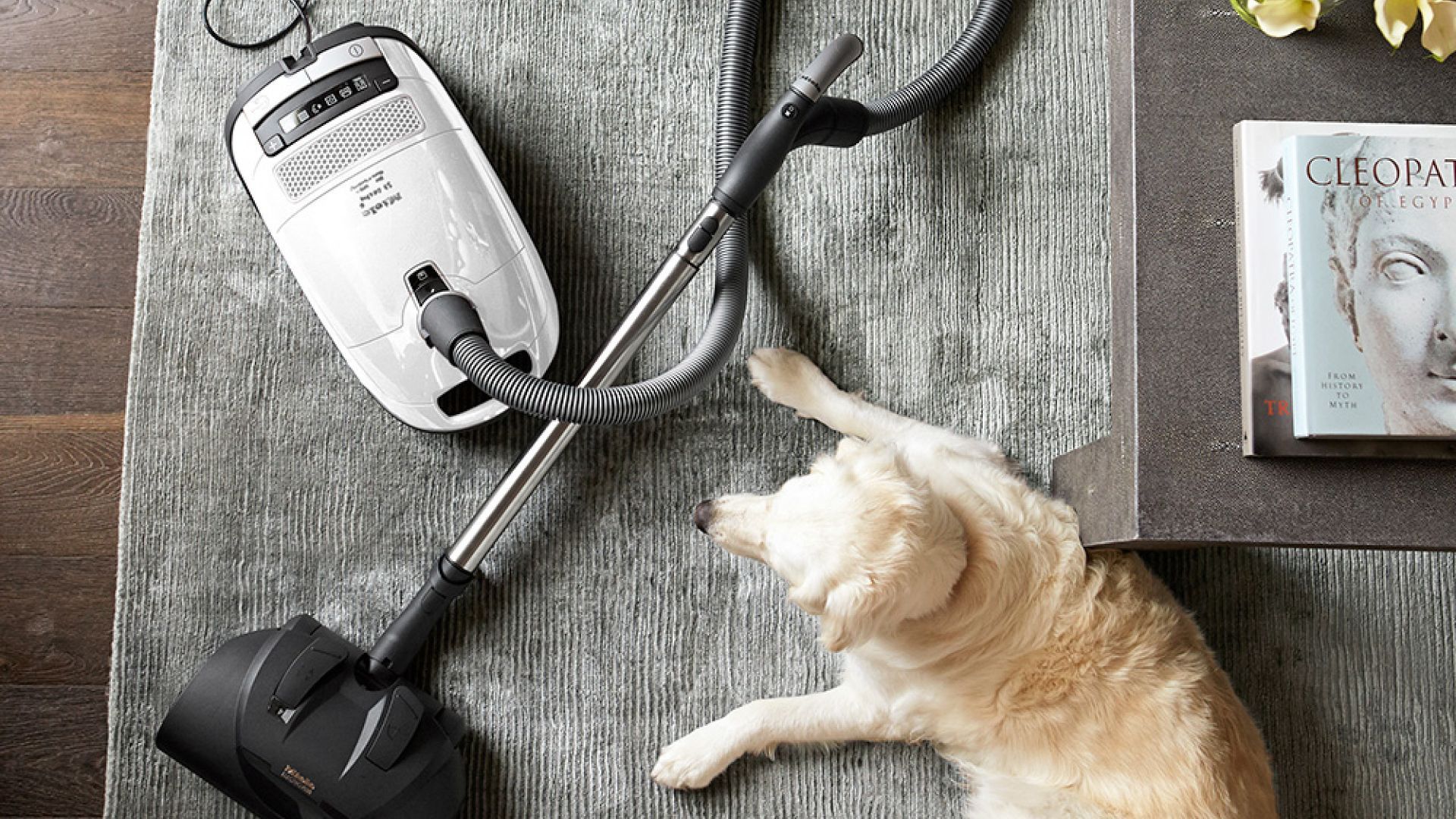 Miele Complete C3 Cat & Dog Canister Vacuum review | Homes and Gardens