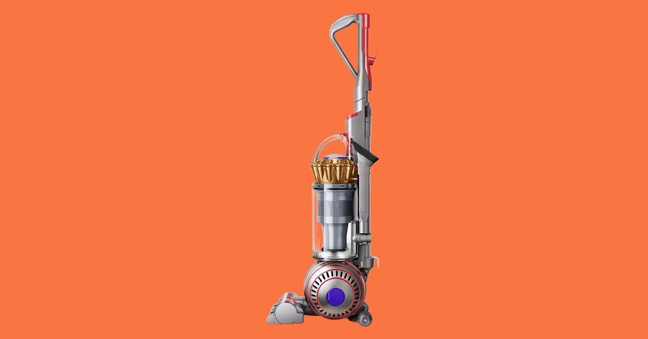 Dyson Ball Animal 3 Extra Review: High Suction, High Capacity