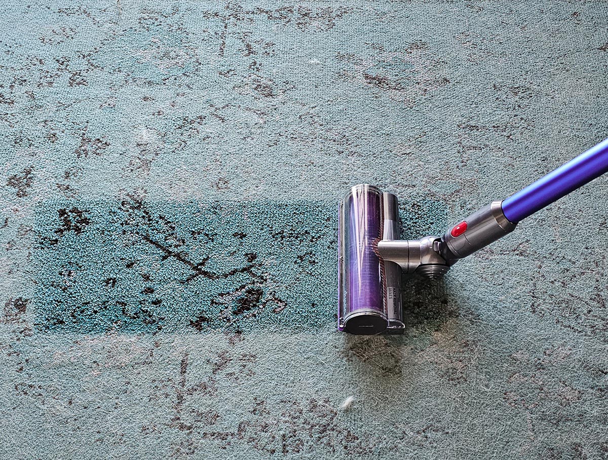 Taming Pet Hair with the Dyson V11 Animal: A Tested Review