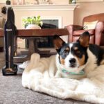 Review: Shark UltraCyclone Pet Pro+ Hand Vac