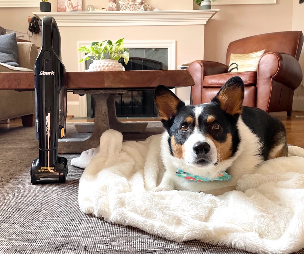 Review: Shark UltraCyclone Pet Pro+ Hand Vac