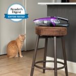 Pet Parents Need This Handheld Vacuum | Bissell Pet Hair Eraser Review