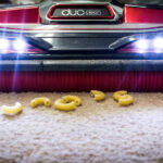 Shark Rocket Complete vacuum cleaner review - Reviewed