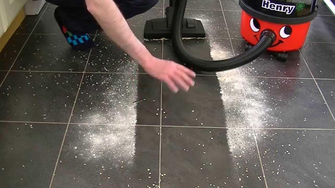 Numatic Henry HVR 200-12 Vacuum Cleaner Demonstration & Review