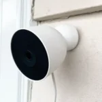 The Gemini-Enabled Nest Cam Outdoor Caught a Masked Bandit in My Backyard