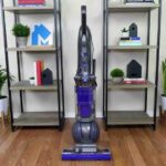 Dyson Ball Animal 2 Review