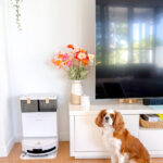 DEEBOT T50 MAX PRO OMNI Review: Powerful, Smart, and Great for Pet Hair