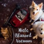 Coming Clean - The Miele Blizzard Vacuum