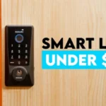 Desloc D110 Plus Review - Best Budget Smart Lock?