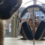 Meze Audio 105 Silva are the bucolic listening headphones audiophiles will adore – the Romanian answer to ‘hygge’