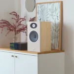 Focal Theva No.1 Bookshelf Loudspeakers: Review