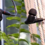 Sennheiser IE 200 review