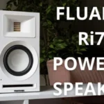 Fluance Ri71 Reference Review – AMT Tweeters at £419? SURPRISING PERFORMANCE!