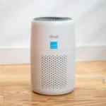 Levoit Core Mini-P Review