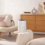 LEVOIT Core Mini-P Review: Compact Air Purifier for Bedroom, Desk & Small Rooms - Pets Air Purifier Advisor