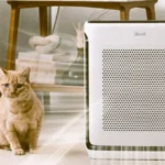 Levoit Vital 200S Air Purifier: Trusted Review In 2026