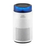 Coway Airmega 100