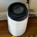 Spring Allergies? No Problem! 🌼 The Coway Airmega 100 Purifier is Here to Clear the Air! #BreatheEasy #AirPurifier