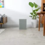 Coway Airmega 150 review: a compact air cleaner