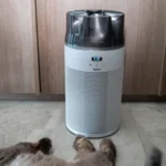 Dyson HushJet Purifier Compact HJ10 review: Mighty small - Can Buy or Not