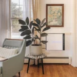 Rabbit Air MinusA2 Air Purifier Review