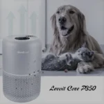 Levoit Core P350 Air Purifier: Trusted Review In 2026