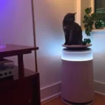 Dreame FP10 pet air purifier review from a 2-cat home: Heavy-duty, self-cleaning, incredibly chic