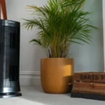 Honeywell Air Genius 5 HFD320 review - HouseFresh