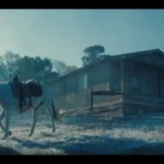 Mackenzie Foy Talks 'The Isolate Thief': "Film Is My Passion, But A Horse Is My Peace" - Deepest Dream
